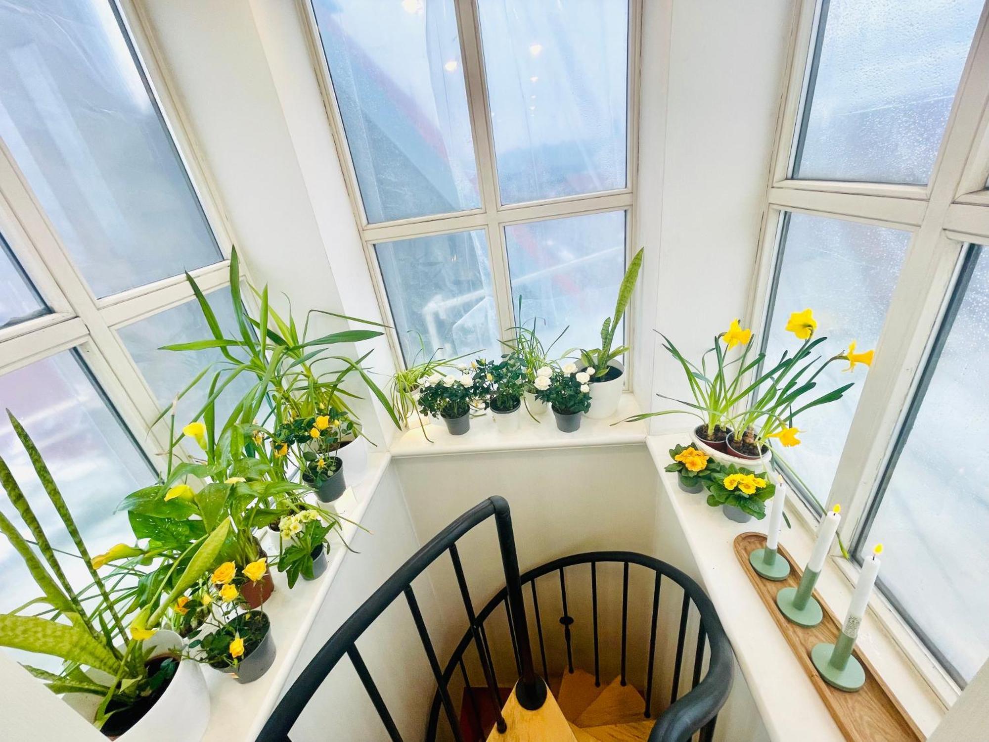 Apartamento Penthouse With Private Rooftop